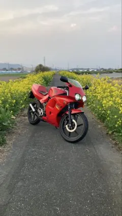 NS 1 後期 メルカリ