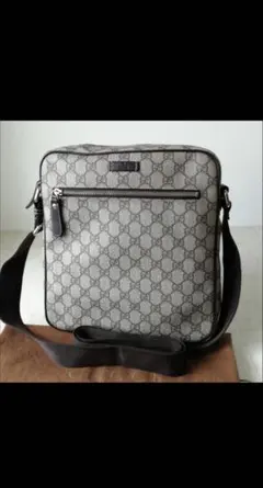 Gucci ショルダーバッグ グレー キャンバス