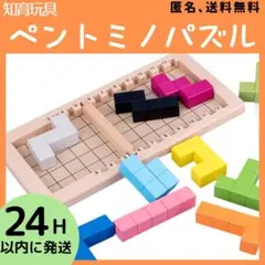 ペントミノパズル 型はめ カタミノ テトリス モンテッソーリ　知育玩具　木製