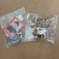 阪神タイガース 大山悠輔 ミニアクスタ＆ユニフォームベアマスコット