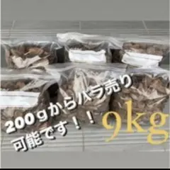 Item thumbnail for item 2fc1072d-2093-4bf5-b6f8-48cdcb4849fc