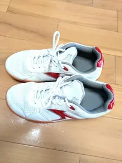 Item thumbnail for item 170e6ed6-9dbb-4580-b605-8f55748aa02e