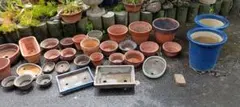 多様な植木鉢セット