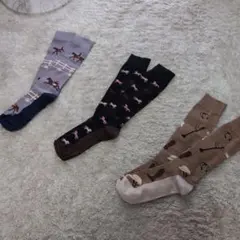 승마 용품