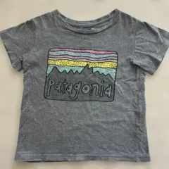 Patagonia オーガニックコットン Tシャツ グレーのサムネイル