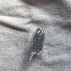 StrayKids スキズ SKZOO グミ&チャーム　ウルフチャン