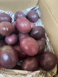 訳あり】沖縄県産パッションフルーツ3kg サイズ不揃い - メルカリ
