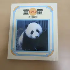 お知らせパンダ 室内アクセサリーマスコット - メルカリ