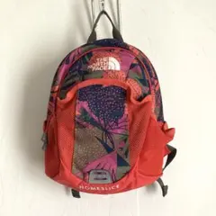 THE NORTH FACE HOMESLICE リュック