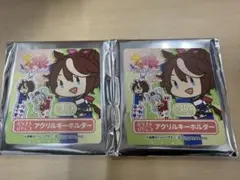 ウマ娘　おなまえぴたんコ　アクリルキーホルダー　2個セット