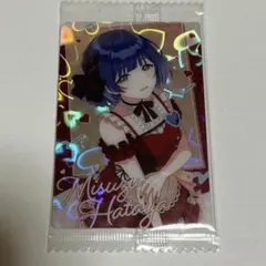 揚げ丸様 リクエスト 2点 まとめ商品