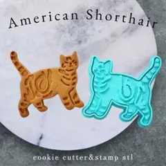 Item thumbnail for item 04a41078-1736-46d4-a8c4-9c9230966a23