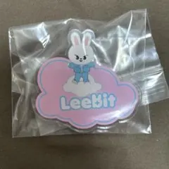 StrayKids スキズ skzoo リノ Leebit ネームバッチ