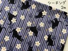 Item thumbnail for item 1ca0539e-ee3a-44a1-9333-092f7f982421