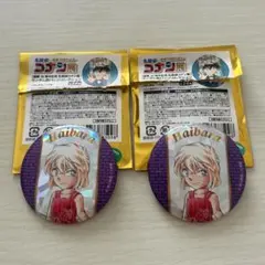連載30周年記念 名探偵コナン展 ランダム缶バッジコレクション 灰原哀