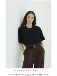 試着のみ CLANE FEATHER RIBBON NOSLEEVE TOPS - メルカリ