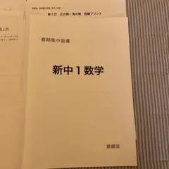 2026年最新】鉄緑会 中1 数学の人気アイテム - メルカリ