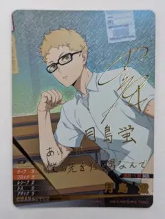 ハイキュー!!バボカ!!BREAK 月島蛍 HV−P03−049 箔押しサイン