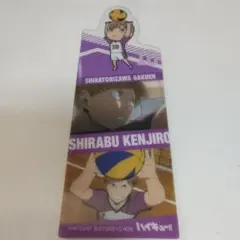 ハイキュー!! 白布賢二郎 ブックマーク