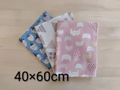 Item thumbnail for item 0cc1d4d7-a238-44c1-b60f-1801388f49cc