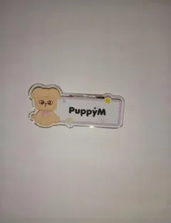 スキズ dominATE ネームバッチ　スンミン　パピーム①