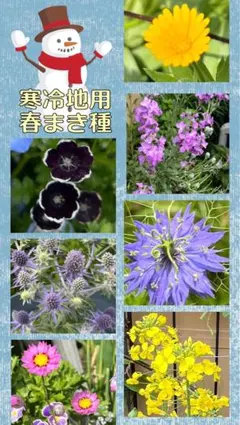 まとめ買い値引きします/プロフ必読様 リクエスト 2点 まとめ商品