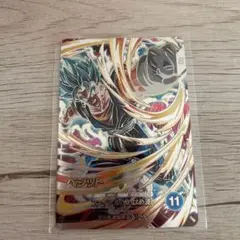 SDVB7-SEC ベジット