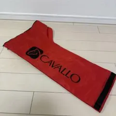 Item thumbnail for item ecbed220-68dd-4753-9d4a-d47f913d5c51