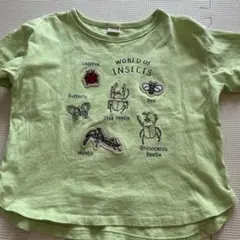 petit main 昆虫刺繍 Tシャツ110㎝