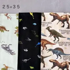 恐竜３枚セット　ランチマット　約25×35　ハンドメイド
