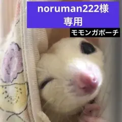 noruman222様専用