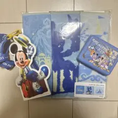 ディズニー＊バケパ＊タオルセット＊チケットホルダー＊アンバサダー アメニティ