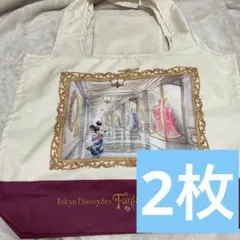 ファンタジースプリングスホテル グランドシャトーエコバッグ　2点