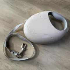 Item thumbnail for item 0e08aaad-9c36-4ce1-a4cc-45ffa0aa57af