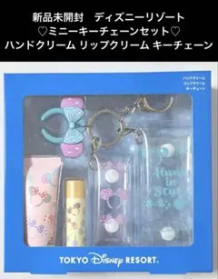 新品未開封♡ミニーカチューシャ キーチェーンセット♡ディズニーリゾート