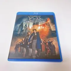 ファンタスティック・ビーストとダンブルドアの秘密 ブルーレイ&DVDセット('…