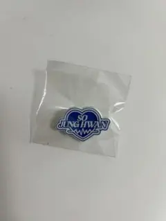 TREASURE ピンバッジ ジョンファン FC限定カプセルトイ