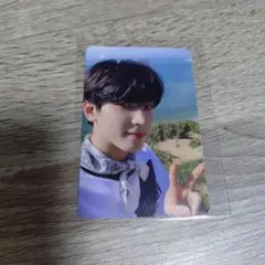 SEVENTEEN ヘンガレ トレカ ウォヌ