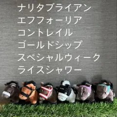 サラブレッドコレクションプチぬいぐるみ