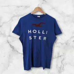vintage/HOLLISTER/半袖Tシャツ/ブルー/ロゴ刺繍/ストリートのサムネイル