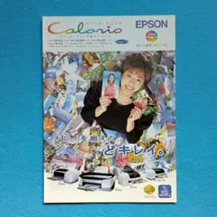 Item thumbnail for item e58c3b68-2d11-44f6-9c1e-69c2f1559ac2