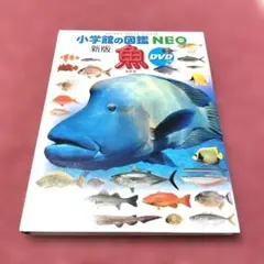 【美品】小学館の図鑑NEO 新版「魚」 ⑤