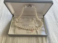 Item thumbnail for item 265e8941-e889-42af-a024-2f7991210995