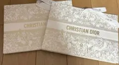 新品　ディオール DIOR ショッパー 紙袋 限定