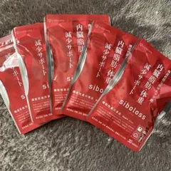 Item thumbnail for item b6a1c3fe-119c-44b4-959d-54f49303815c