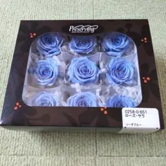 ゆうこりん様 リクエスト 2点 まとめ商品