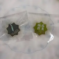 鬼滅の刃 不死川 実弥 伍周年記念 後夜祭 ピンズ - メルカリ