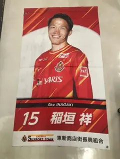 横浜キヤノンイーグルス FC当選品 田村優選手 直筆サイン入り - メルカリ