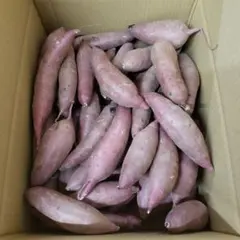 はな様専用 サツマイモ