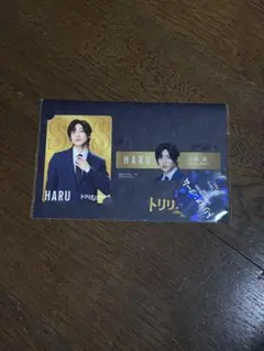 トリリオンゲーム Haru アイドルグッズ カード＆ステッカーセット